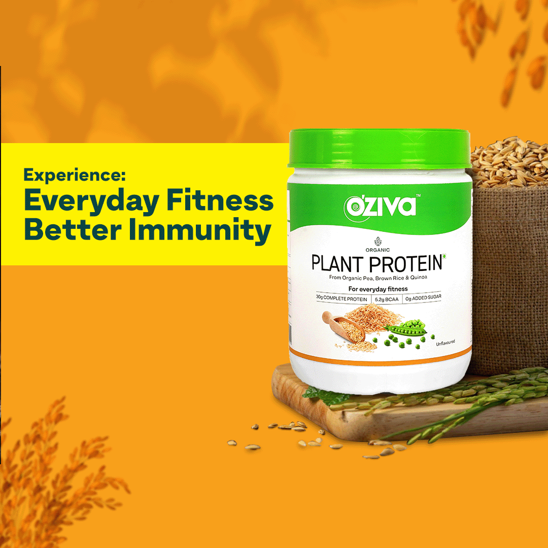 Best Vegan Protein Powder