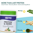 Protein & Herbs for Men- Whey Protein with Ayurvedic Herbs & Multivitamins