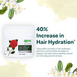 Naturelle Infusion Anti-Hairfall Ritual, Combo Pack ( Naturelle Infusion Hair Growth Hair Oil 200 ml + Naturelle Infusion Hair Growth Shampoo 200 ml + Naturelle Infusion Nourish & Growth Hair Mask 100g )